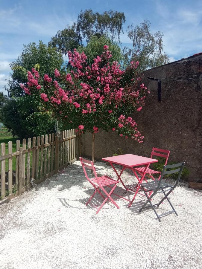 Maisonnette avec jardin dans le vignoble nantais Barbechat Extérieur photo